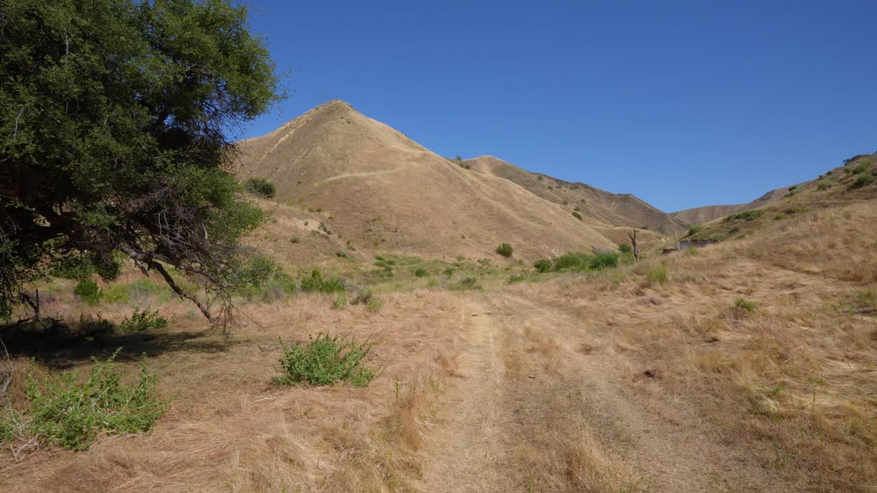 cámara de tierra de ganado empujando hacia adelante a lo largo de la carretera