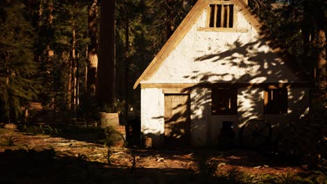 old wooden house in the autumn forest