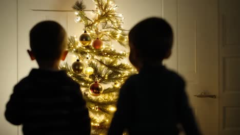 two brothers looking at a christmas tree