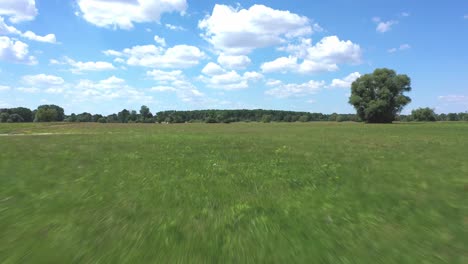 drone fy over verdant fields with white clouds in blue sky