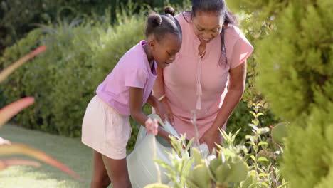 watering plants in garden, grandmother and child enjoying sunny morning together