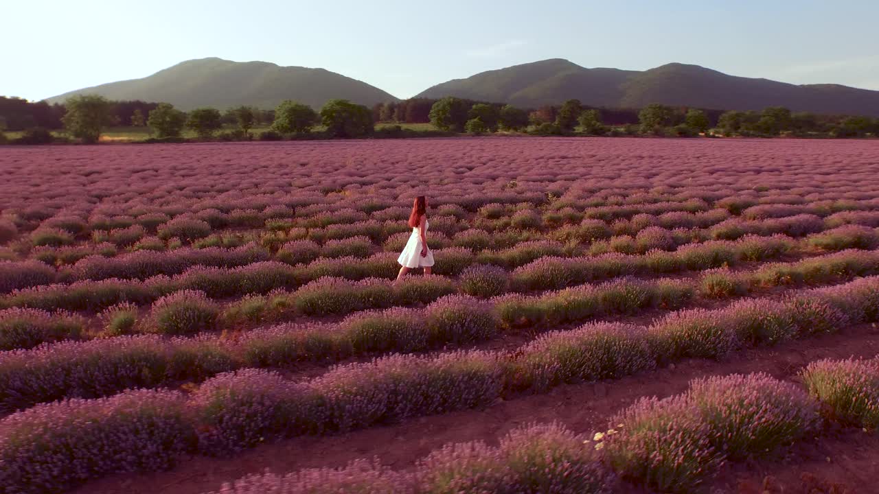 mujer caminando por un campo de lavanda al atardecer