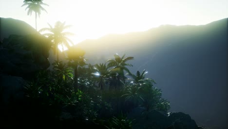 mountain and field landscape with palms