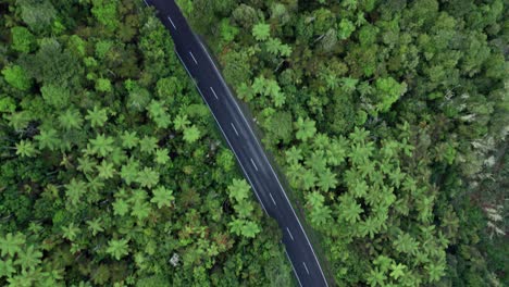 Antena-De-Arriba-Hacia-Abajo-De-Helechos-Y-Sobrevuelo-Por-Carretera-En-Rotorua,-Nueva-Zelanda