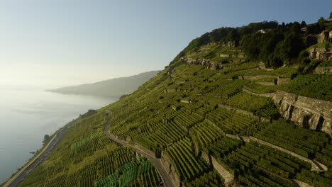 vista aérea de los viñedos que crecen en la ladera de la montaña durante la brillante puesta de sol en lavaux, suiza