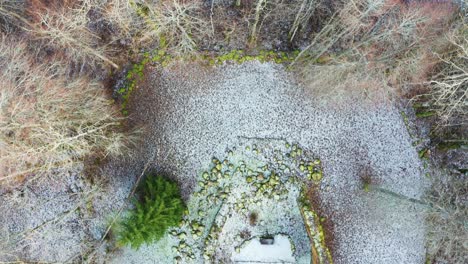 revelación aérea de la iglesia abandonada, restos de la pared de piedra, abeto verde