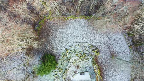 aerial reveal of abandoned church stone boulder wall remains, green fir tree