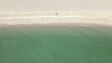 Vista-Aérea:-La-Persona-Se-Sienta-Sola-En-La-Playa-De-Arena,-Suaves-Olas-Verdes