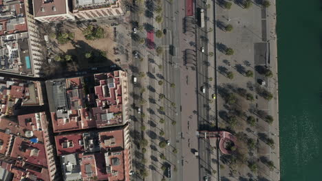 Vista-De-ángulo-Alto-Del-Tráfico-En-Las-Carreteras-A-Lo-Largo-Del-Paseo-Marítimo.-Palmeras-En-Zona-Peatonal-Y-En-Plaza.-Barcelona,-España