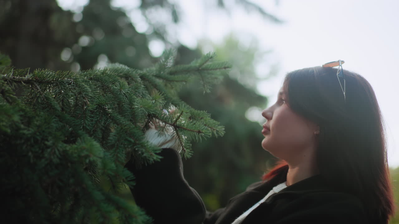 어두운 코트를 입은 세련된 여성이 부드럽게 오크 나무 가지를 만지며 감상하고, 잎과 텍스처를 관찰하고, 부드러운 보케 숲 배경, 나뭇잎을 향해 고개를 든 측면 프로필, 차분한 가을 분위기