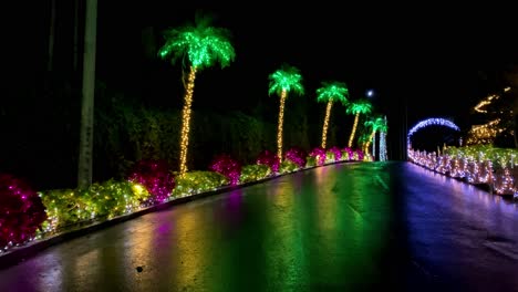 4KHD-Christmas-2020-Botanical-Garden-Okinawa-Japan-24