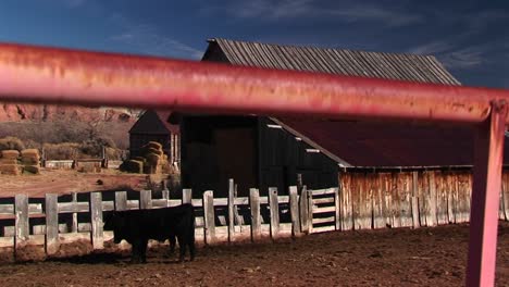 panorámica hacia arriba a través del primer plano de la cerca de la casa rural y la granja de utah