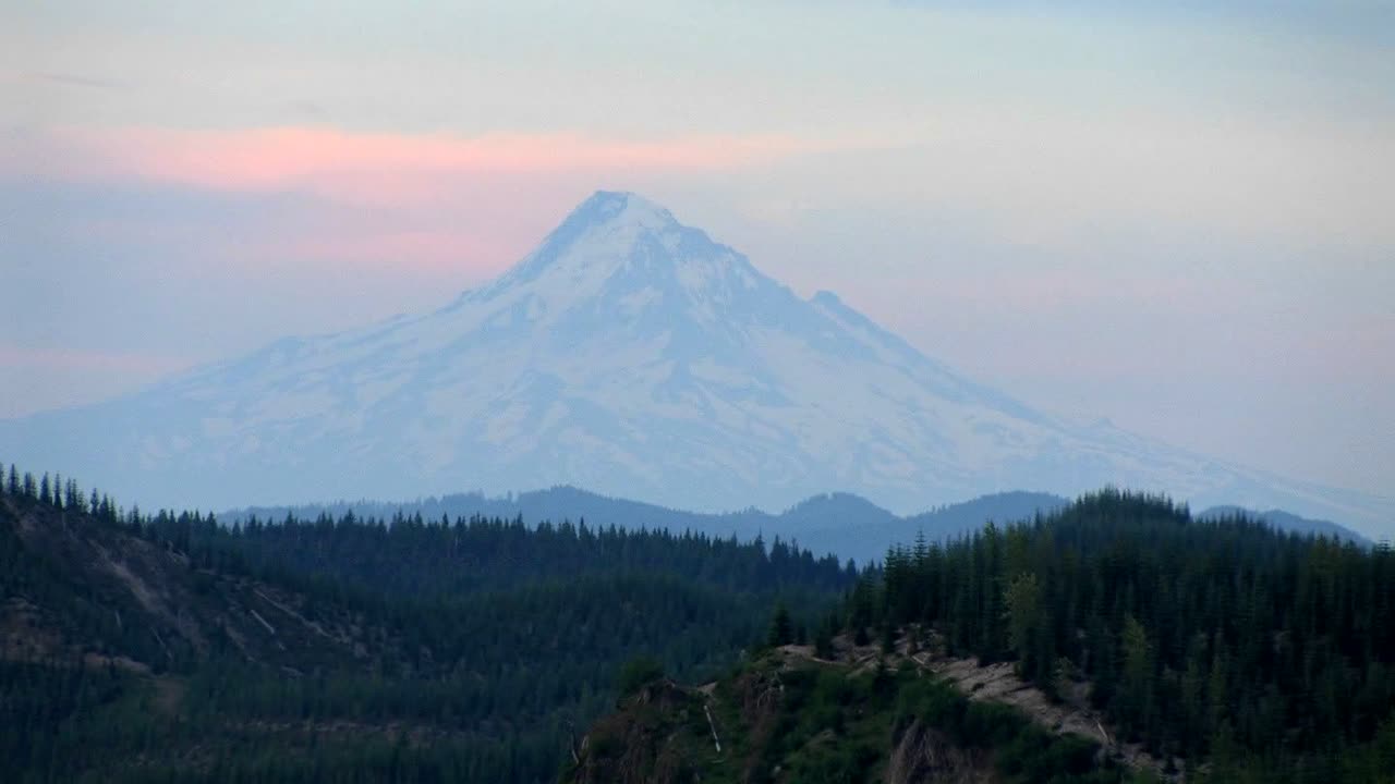 el pico de una montaña se eleva sobre un bosque en el parque nacional mt st helens 1