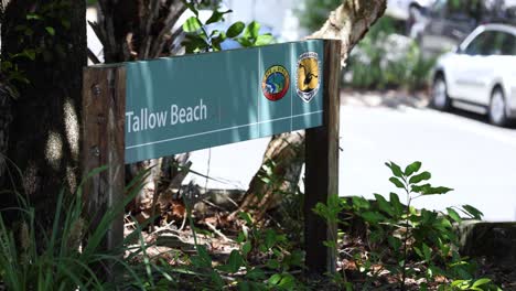 signage for tallow beach viewed between leaves