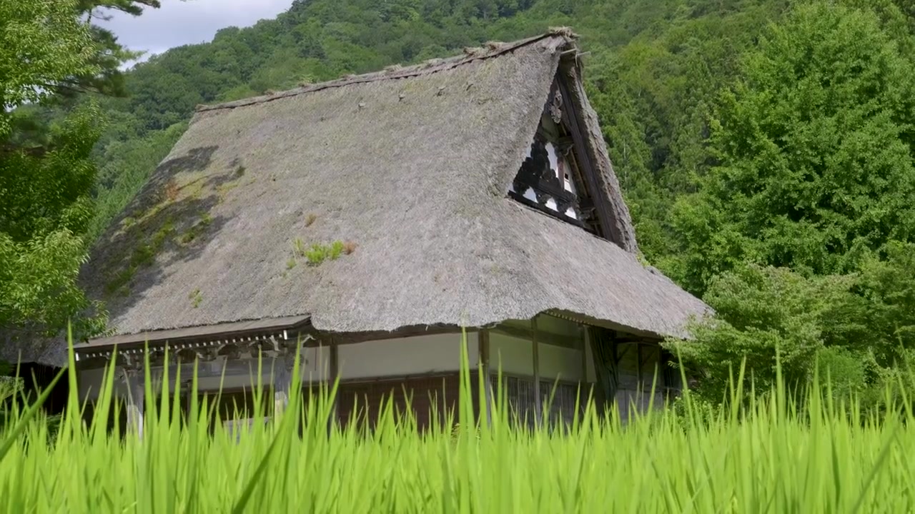 Desa cerita rakyat Shirakawa-go yang terkenal pada hari musim panas yang cerah dengan sawah
