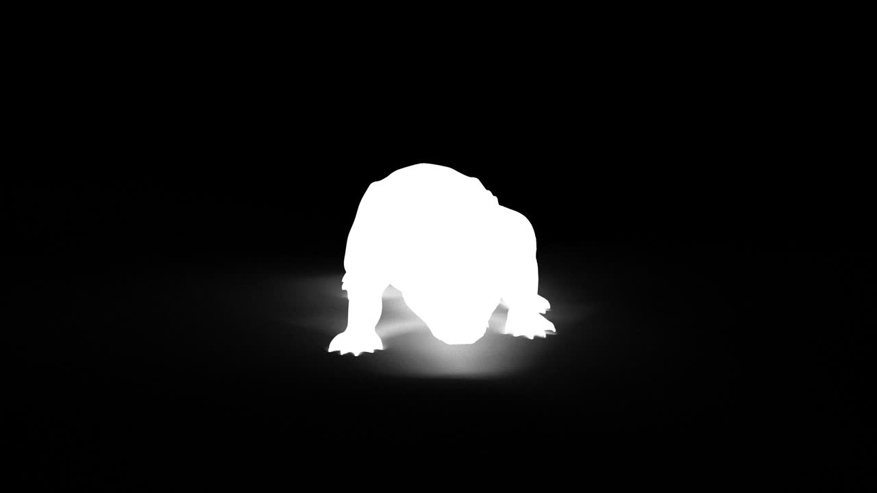 카메라에 악어 는 루프.