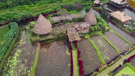 Aerial-:-traditional-cone-shaped-Mbaru-Niang-Thatch-Roof-Eco-huts-of-Maha-Gangga-Valley-in-Bali-Indonesia,-a-Camp-ground-glamping-agrotourism-Inn-featuring-mountain-views,-Rice-Terraces,-Jungles