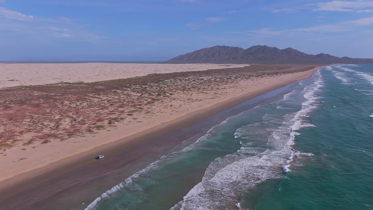 Vídeo de drone aéreo de um veículo todo-o-terreno a viajar numa praia selvagem cénica com grandes dunas de areia costeiras em segundo plano