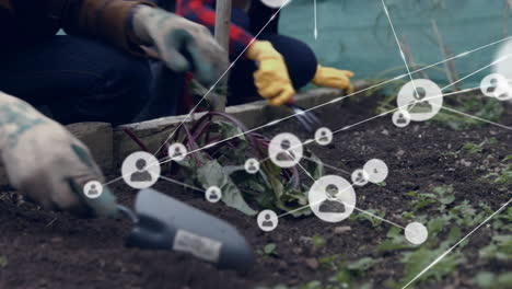 jardinería con conexiones de red animación superposiciones escena