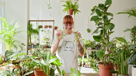 woman caring for plants in a plant shop