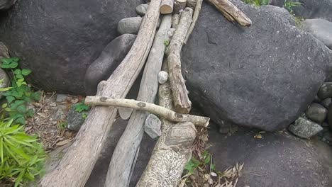 senderismo de montaña senderos de bambú en los bosques durante el día