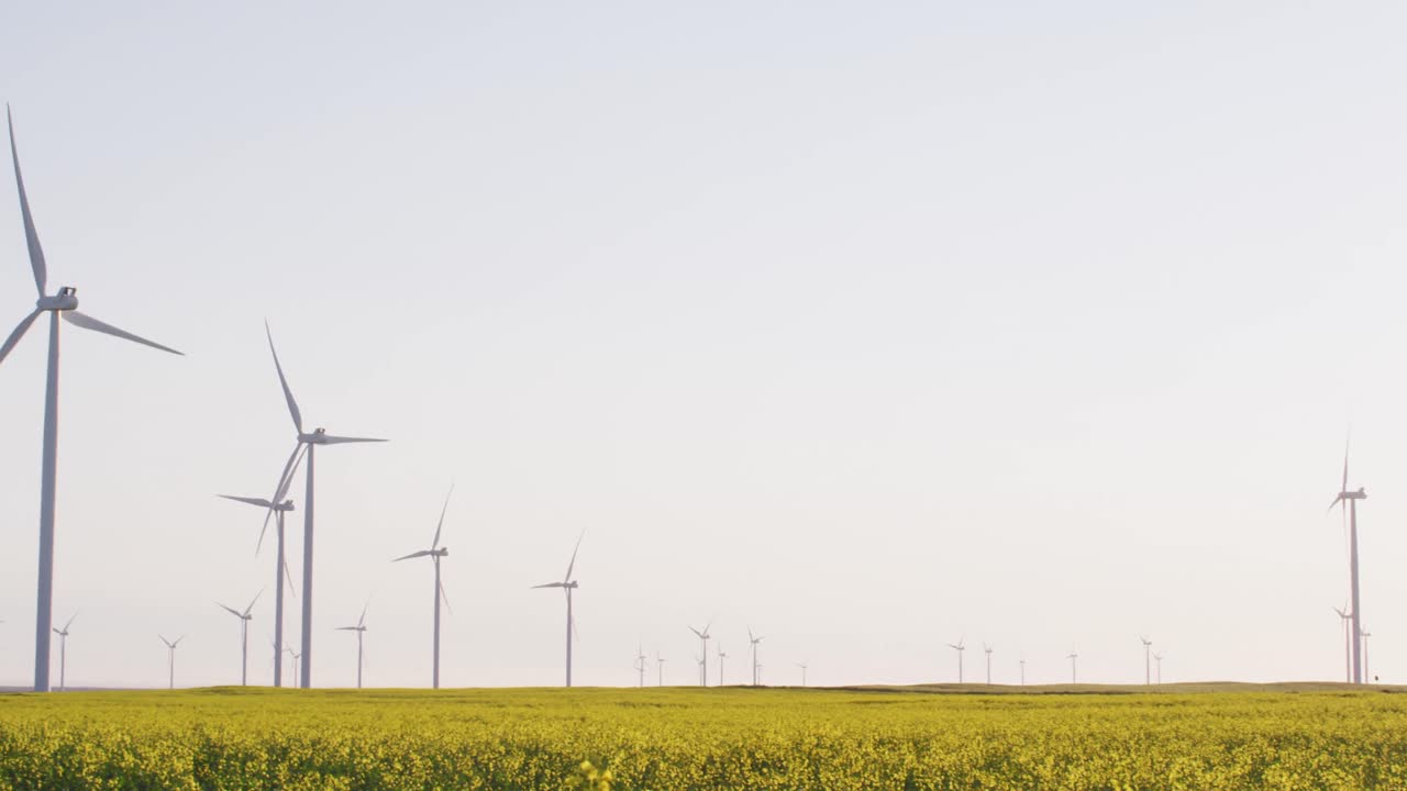 구름 없는 하늘을 가진 시골 풍경에서 풍력 터빈의 일반적인 모습