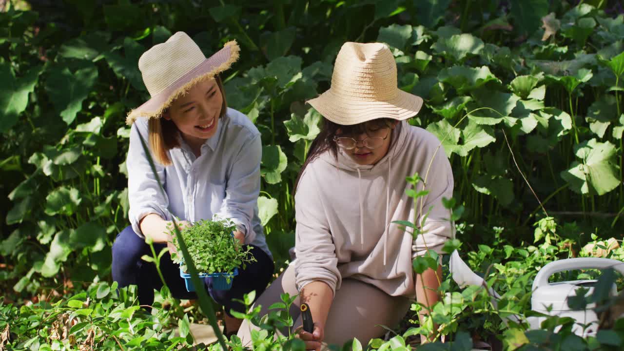 아시아 어머니 와 딸 이  ⁇ 은 날 함께 정원 을 짓고 미소 짓고 있다