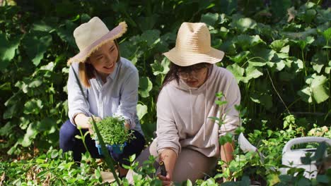 asian mother and daughter gardening together on sunny day smiling