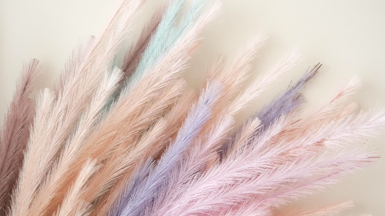 hierba de pampa seca en color rosa, púrpura y crema