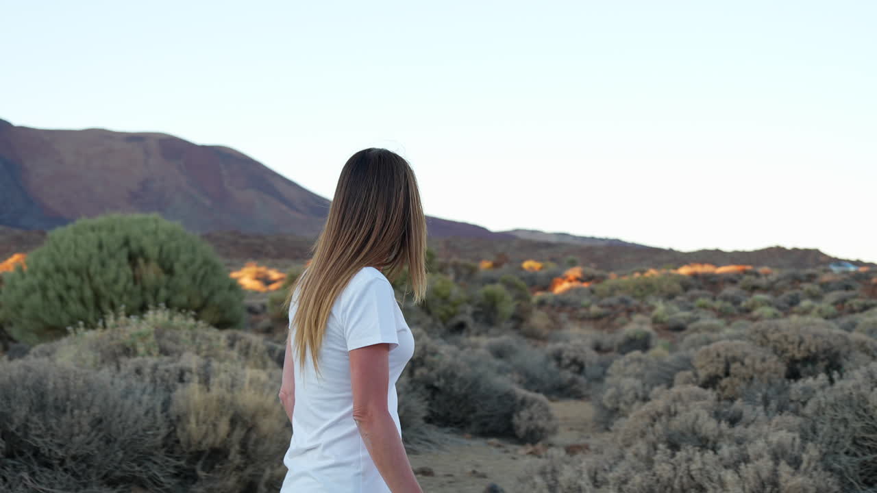 Tourist observing Teide volcano in Teide National Park, Tenerife, Canary Islands