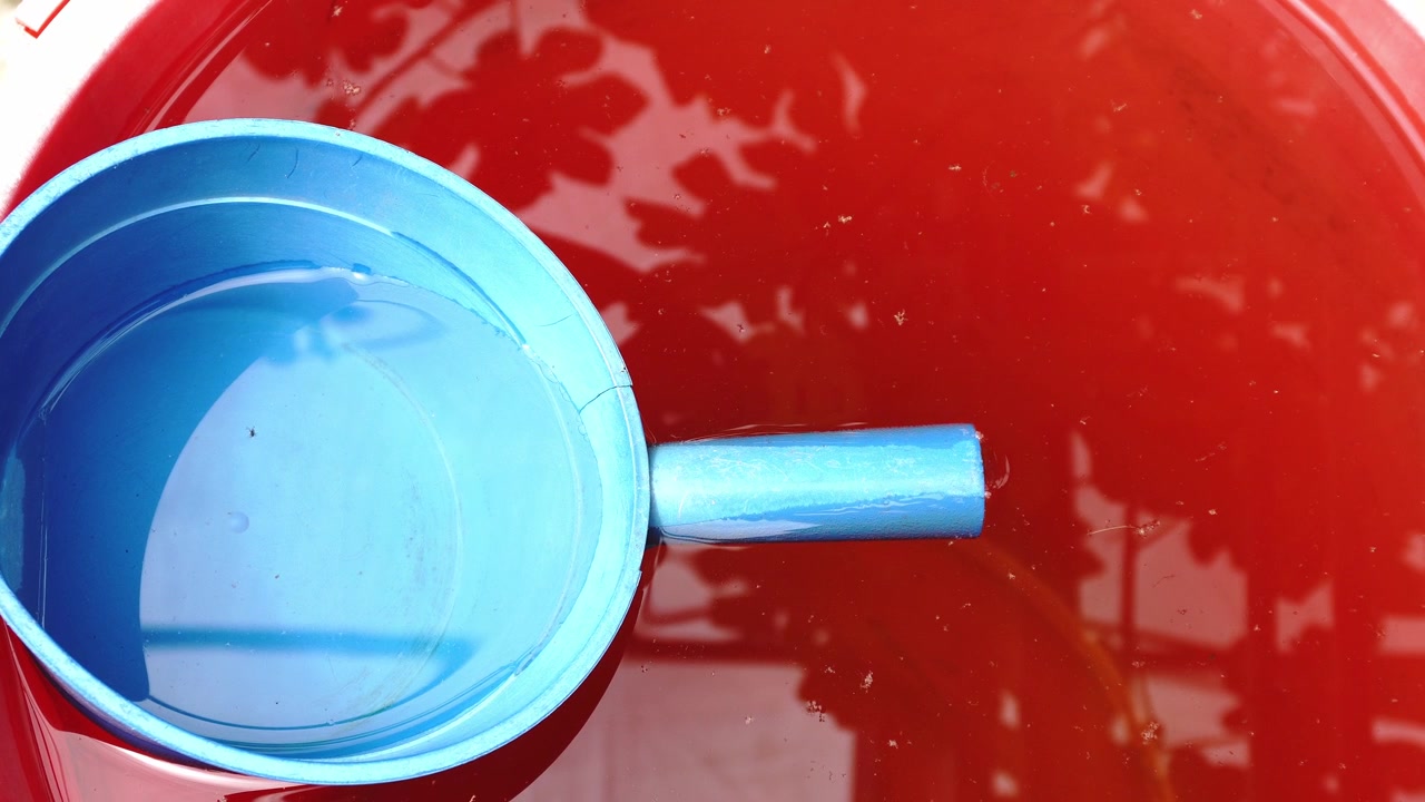 Uma concha azul descansa em um balde vermelho cheio de água, com sombras de folhas na superfície