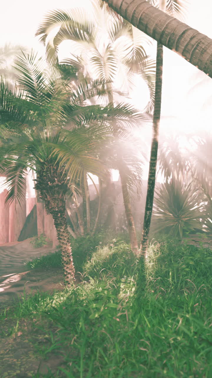 playa tropical con palmeras y vegetación exuberante