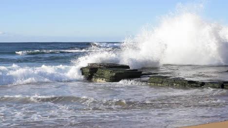 large waves crashing onto seaweed covered horizontal bedded sedimentary ocean rocks slow-motion turimetta beach sydney australia