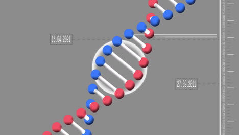 animation of dna strand over data processing on grey background