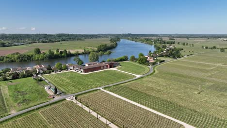 vineyard farm in the town of vignonet france east of bordeaux france, aerial flyover rising shot