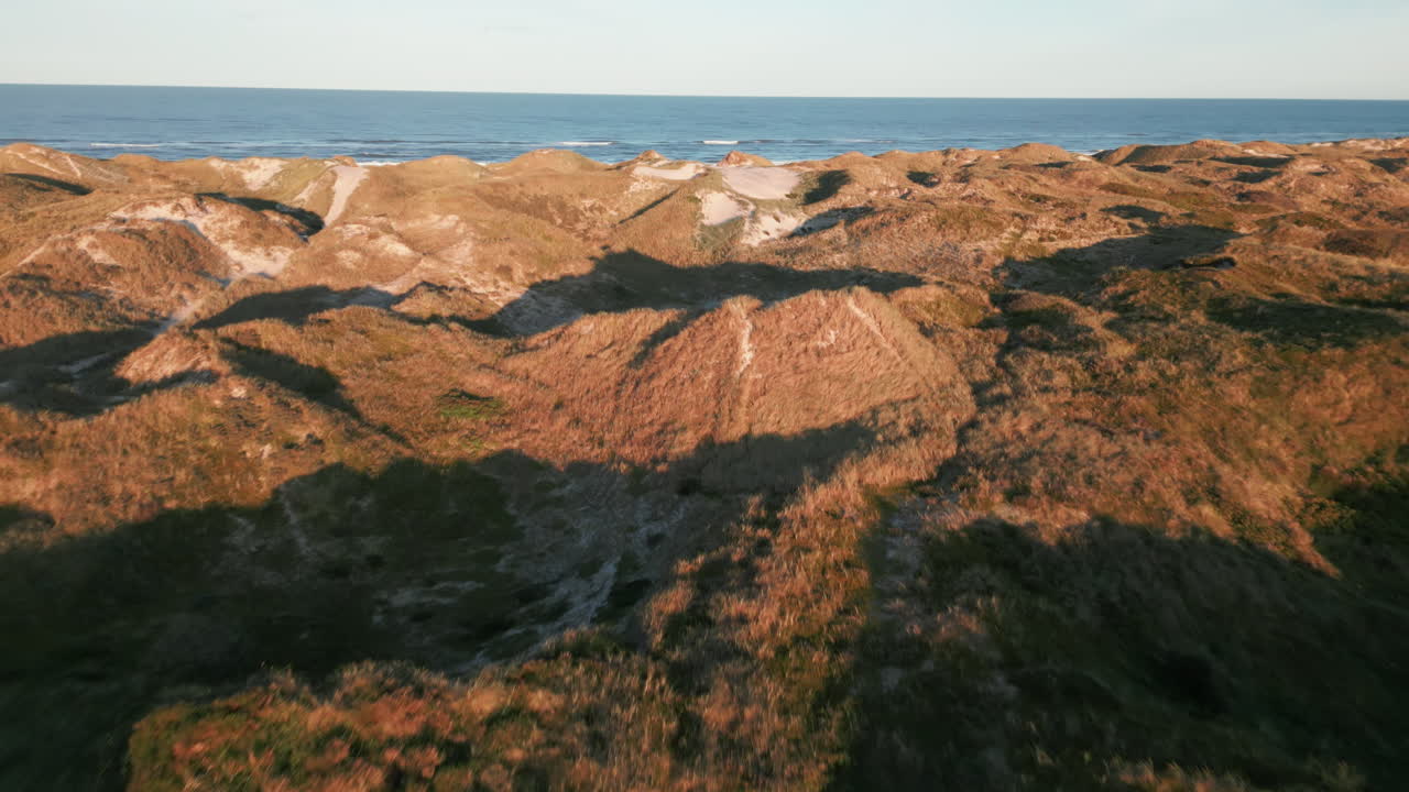 Sunlit trails wind through the dunes of Denmark's coastline
