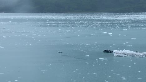 alaska
