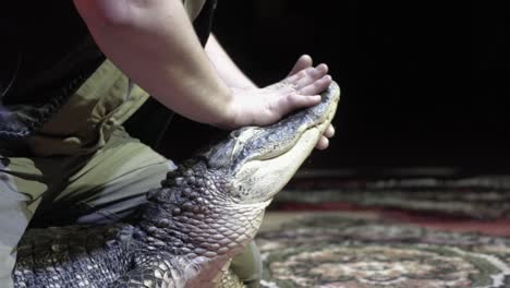 crocodile caretaker