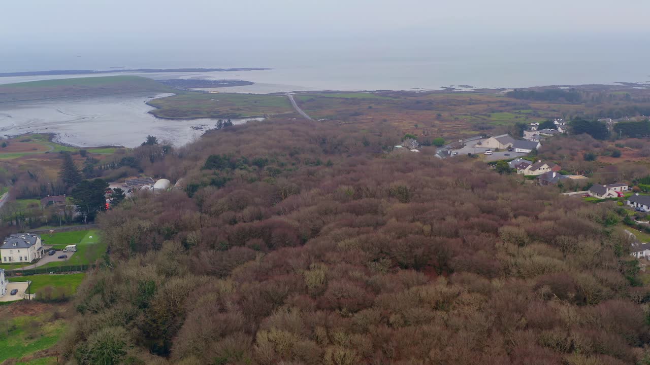 fotografía aérea ascendente con una amplia vista de las copas de los árboles en los bosques de barna, galway