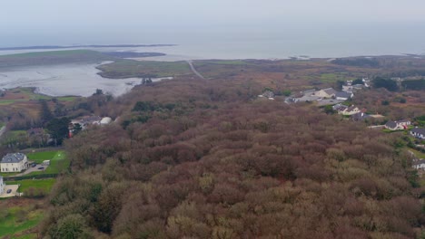 Toma-Aérea-Ascendente-Que-Ofrece-Una-Vista-Amplia-De-Las-Copas-De-Los-árboles-En-Barna-Woods,-Galway.