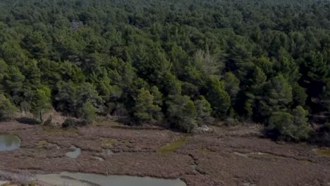 Lake-Bovilla-,-Albania