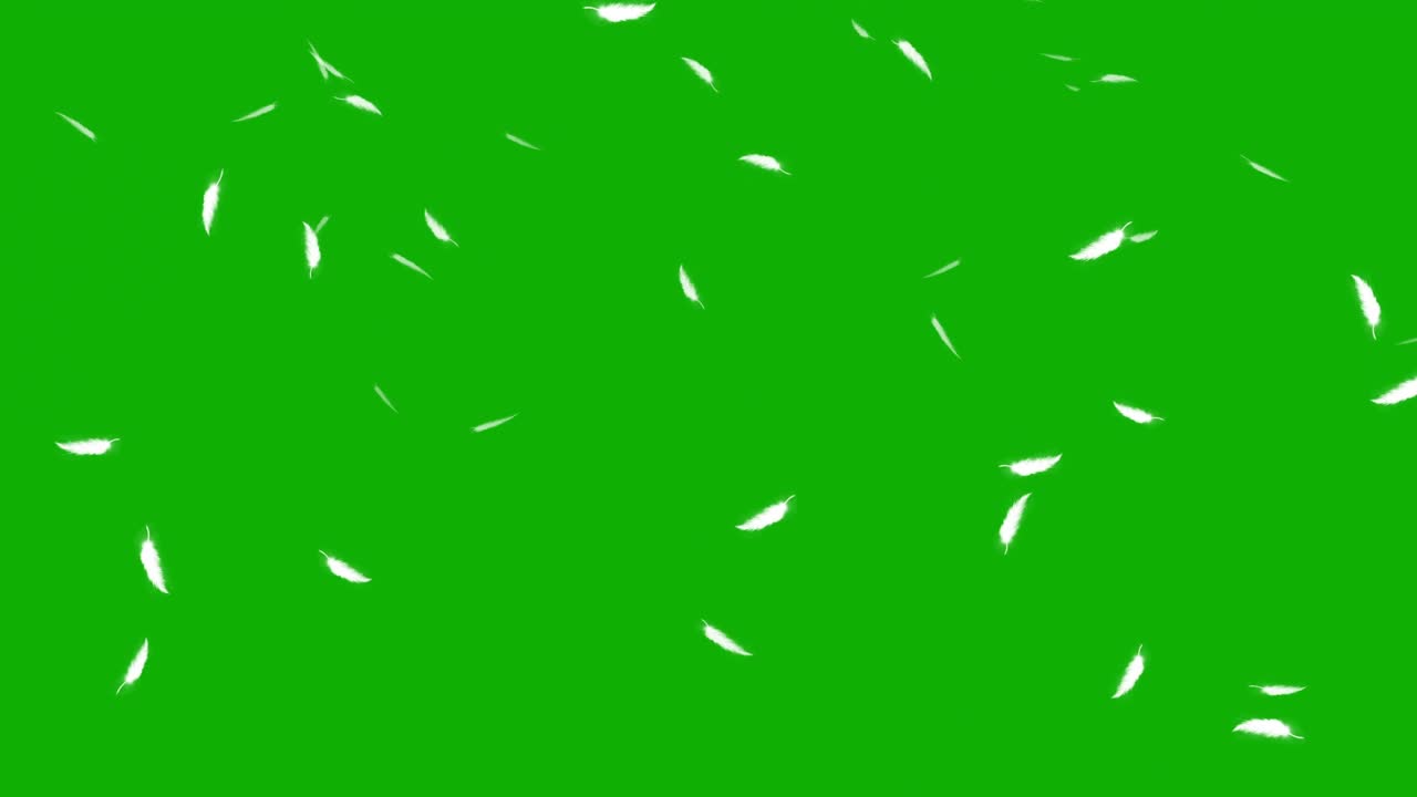 녹색 화면 배경으로 떨어지는 털 모션 그래픽