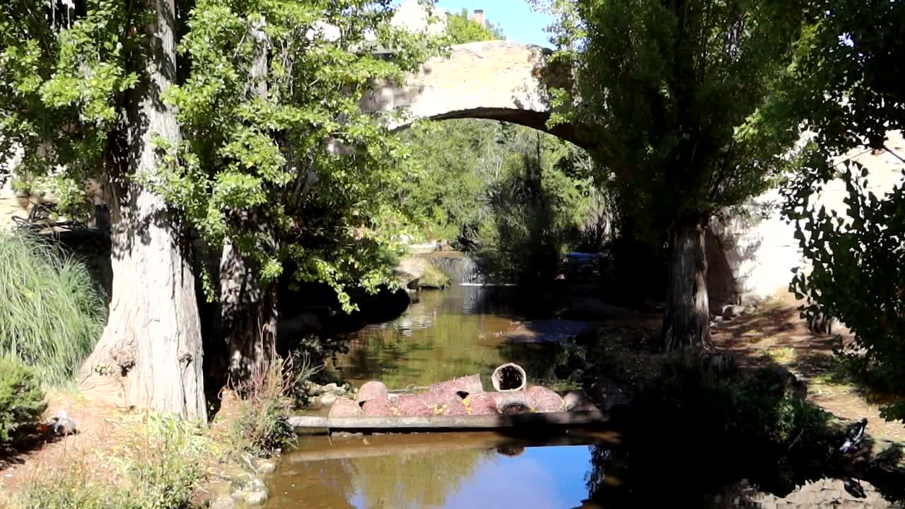 Wide shot of Tenerias Bridge with wicker baskets used to collect grapes, Spain