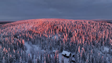 Vista-Aérea-Dando-Vueltas-Sobre-Colinas-Boscosas-Nevadas,-En-El-Parque-Nacional-De-Syote,-Amanecer-En-Finlandia