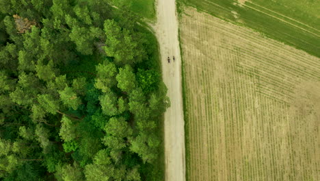 Luftaufnahmen-Zeigen-Eine-Unbefestigte-Straße,-Die-Auf-Der-Einen-Seite-Von-Dichten-Bäumen-Und-Auf-Der-Anderen-Seite-Von-Einem-Grünen-Feld-Gesäumt-Ist