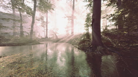 misty dawn over lake forest