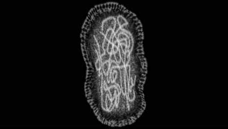 investigación de laboratorio, bacterias bajo el microscopio