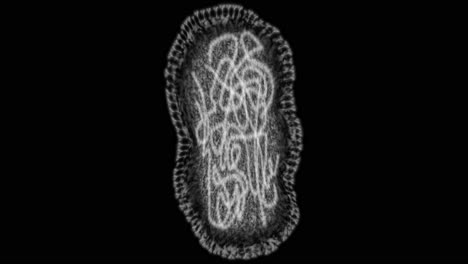 laboratory research, microscope bacteria