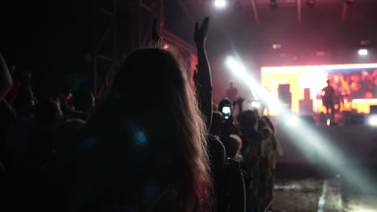 multitud en un concierto