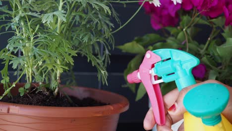 persona regando plantas